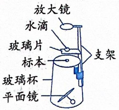 图2-3 自制显微镜 - 义乌1+1教育优创优星科学馆