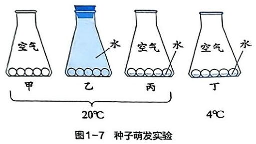 (1)准备四个大小相同的锥形瓶、分别标注 - 义乌1+1教育优创优星科学馆