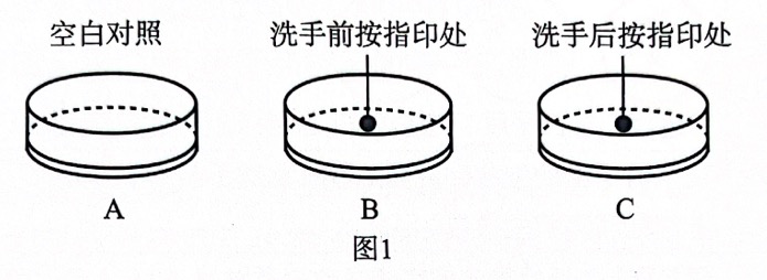 图是“检测不同环境中的细菌和真菌”的探究 - 义乌1+1教育优创优星科学馆