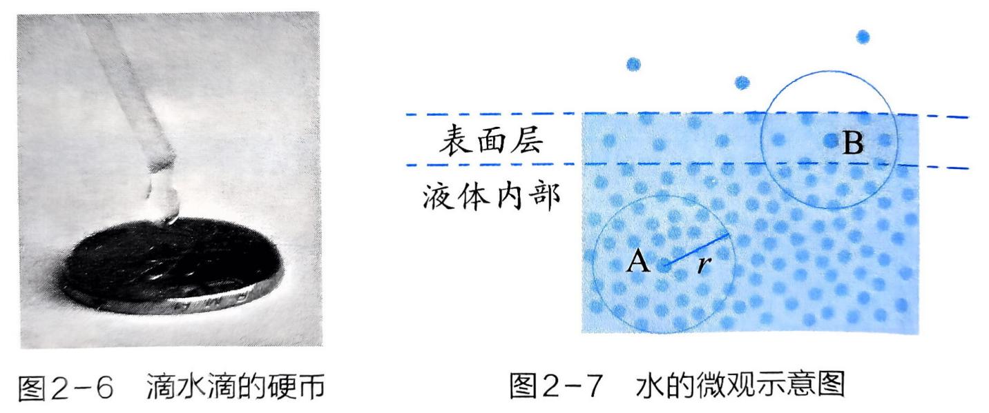 探索分子的基本特征·拓展研究 - 义乌1+1教育优创优星科学馆