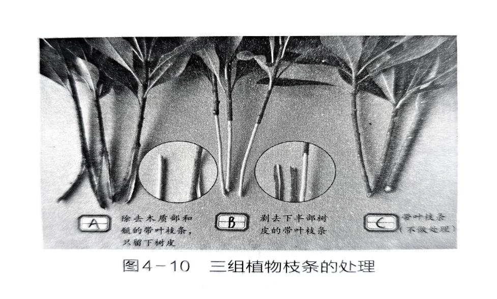 图4-11) - 义乌1+1教育优创优星科学馆
