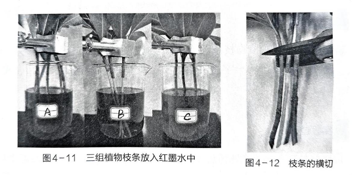 图4-12横切操作) - 义乌1+1教育优创优星科学馆