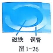 undefined - 义乌1+1教育优创优星科学馆