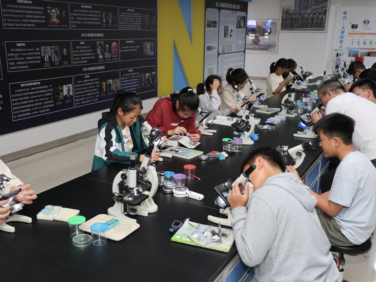 学员记录实验现象