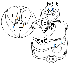 2021·绍兴·第27题 配图1 - 义乌1+1教育优创优星科学馆