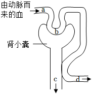 2022·台州·第29题 配图1 - 义乌1+1教育优创优星科学馆