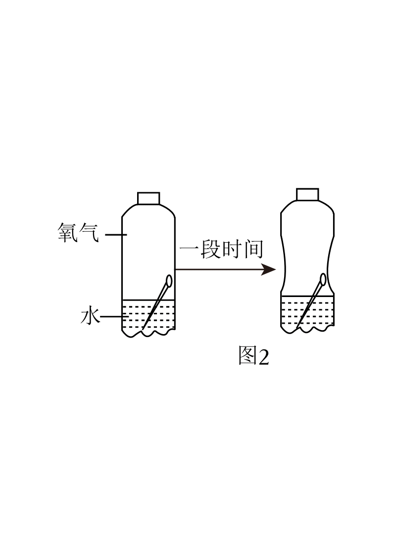 2025·浙江·第32题 配图29 - 义乌1+1教育优创优星科学馆