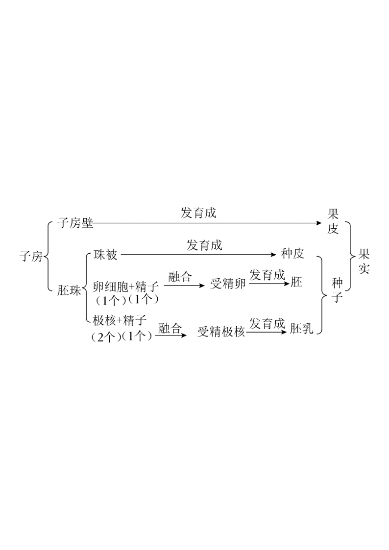 2025·浙江·第32题 配图58 - 义乌1+1教育优创优星科学馆